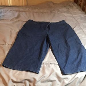 16 Kim Rogers Blue Denim Crop Pants